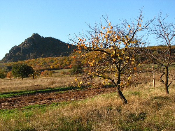 ESK STEDOHO -  HRAD KOSTALOV